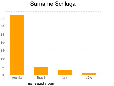 Surname Schluga