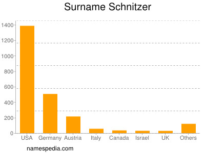 Surname Schnitzer