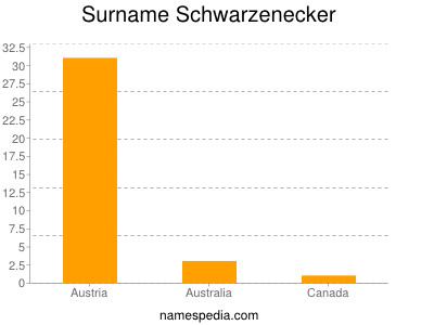 Surname Schwarzenecker