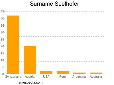 Surname Seelhofer