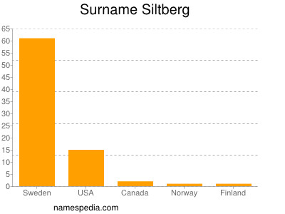 Surname Siltberg