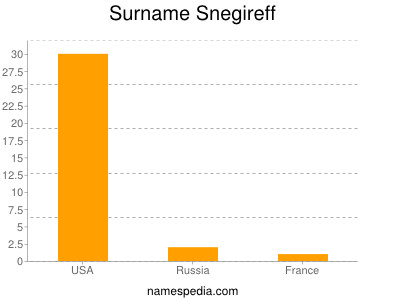 Surname Snegireff
