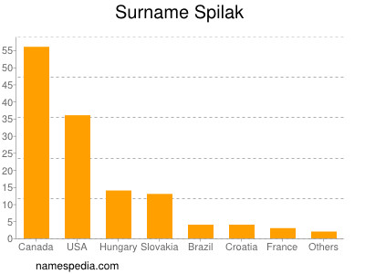 Surname Spilak