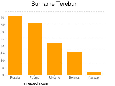 Surname Terebun