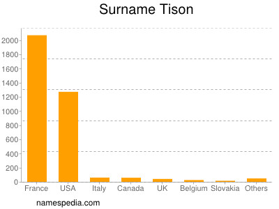 Surname Tison