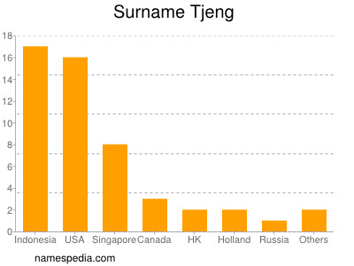 Surname Tjeng