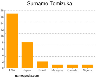 Surname Tomizuka