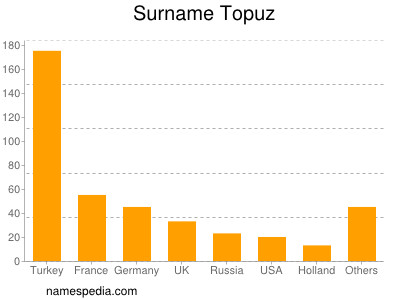 Surname Topuz