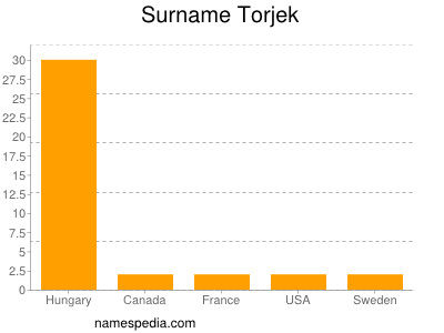Surname Torjek