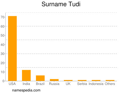 Surname Tudi