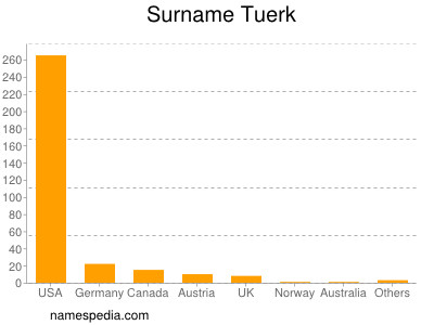 Surname Tuerk