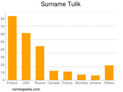 Surname Tulik