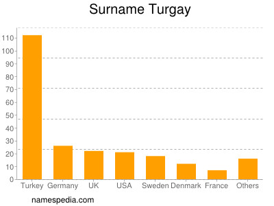 Surname Turgay