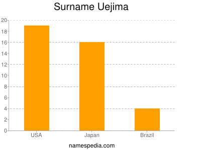 Surname Uejima