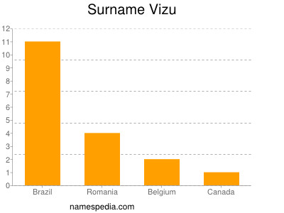 Surname Vizu