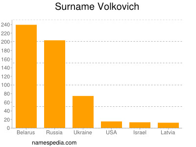Surname Volkovich