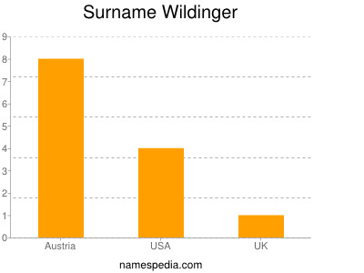 Surname Wildinger