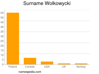 Surname Wolkowycki