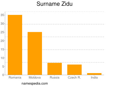 Surname Zidu