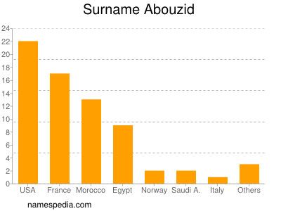 Surname Abouzid