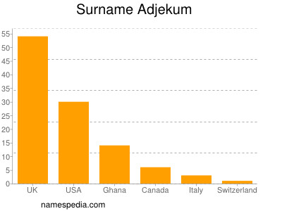 Surname Adjekum
