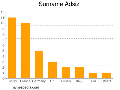 Surname Adsiz