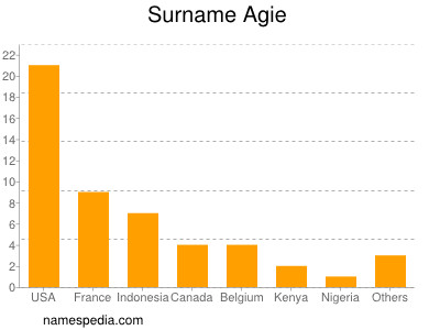 Surname Agie