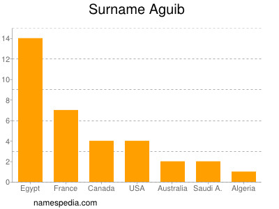 Surname Aguib