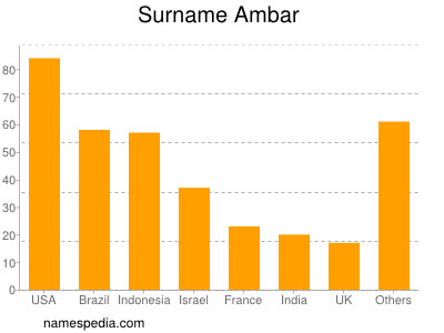 Surname Ambar