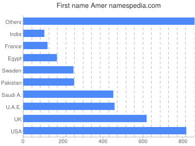 Given name Amer