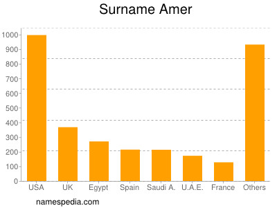 Surname Amer