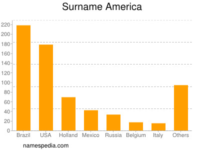 Surname America