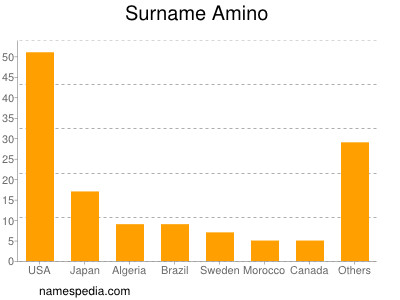 Surname Amino