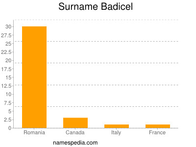 Surname Badicel