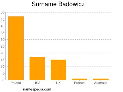 Surname Badowicz