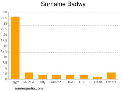 Surname Badwy