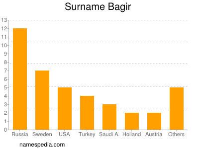 Surname Bagir