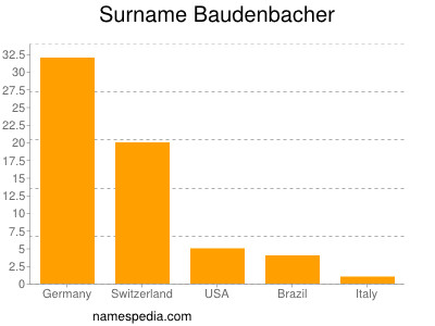 Surname Baudenbacher