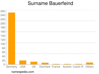 Surname Bauerfeind