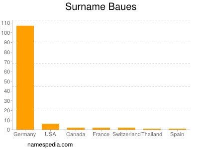 Surname Baues