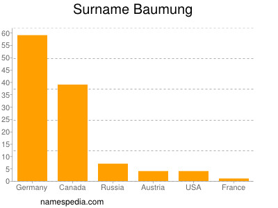 Surname Baumung