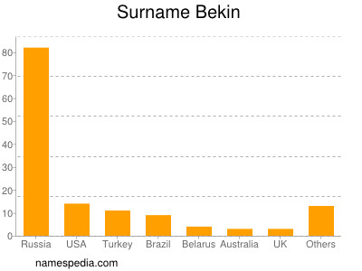 Surname Bekin