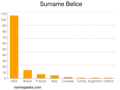 Surname Belice