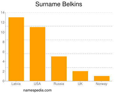 Surname Belkins
