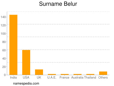 Surname Belur