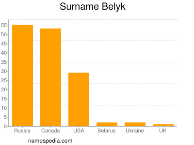 Surname Belyk