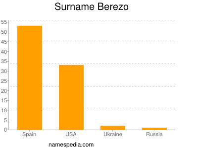 Surname Berezo