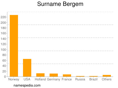 Surname Bergem