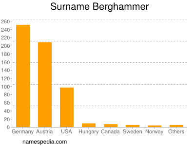 Surname Berghammer