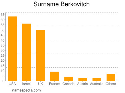 Surname Berkovitch
